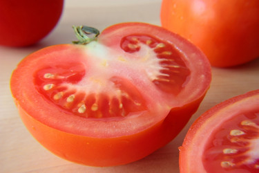 Similar image 737624