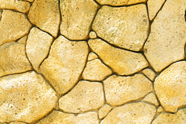 Similar image 737626