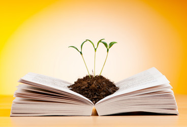 Similar image 737637