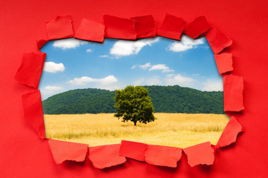 Similar image 737657