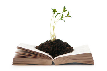 Similar image 737658