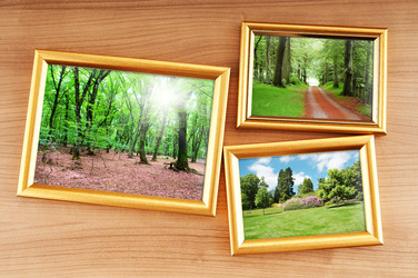 Similar image 737680