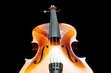 Similar image 737695