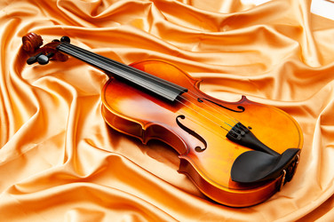 Similar image 737696