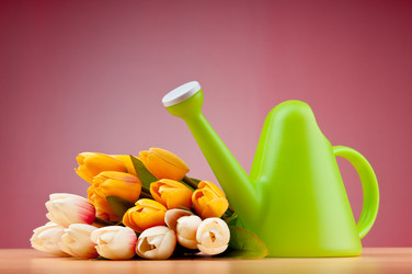 Similar image 737707