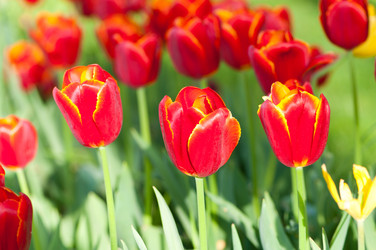 Similar image 737726