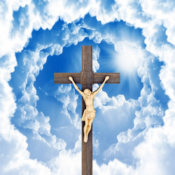 Similar image 737833