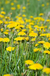 Similar image 737856