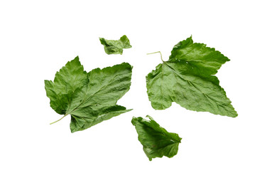 Similar image 737858