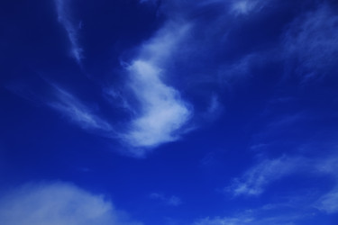 Similar image 737894