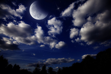 Similar image 737895