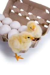 Similar image 737920