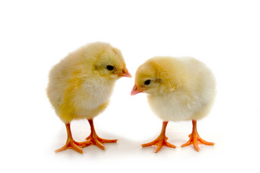 Similar image 737923