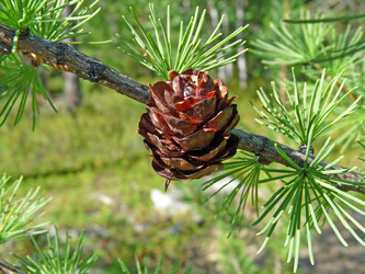 Similar image 737959