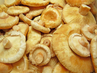 Similar image 737987