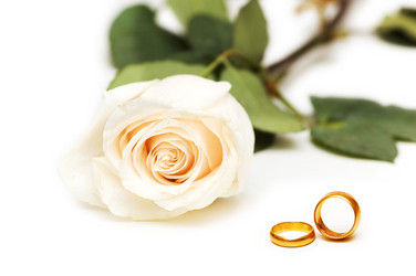 Similar image 737998