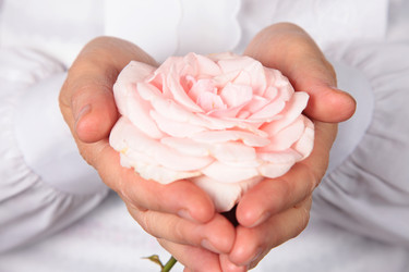 Similar image 738008