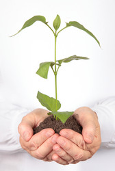 Similar image 738010