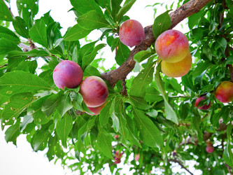 Similar image 738012