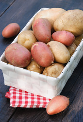 Similar image 738082