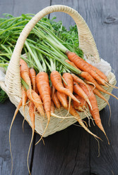 Similar image 738084