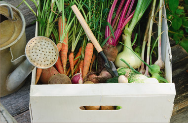 Similar image 738201