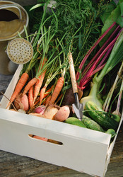 Similar image 738202