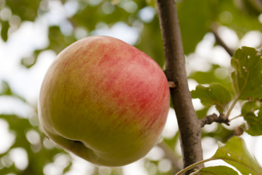 Similar image 738235