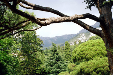 Similar image 738244