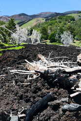 Similar image 738318