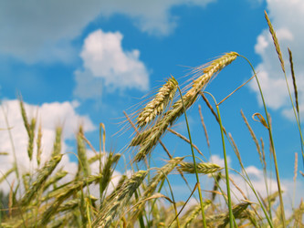 Similar image 738324