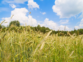 Similar image 738325