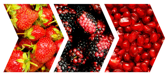 Similar image 738337