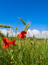 Similar image 738349