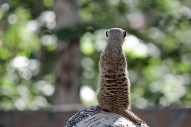 Similar image 738370