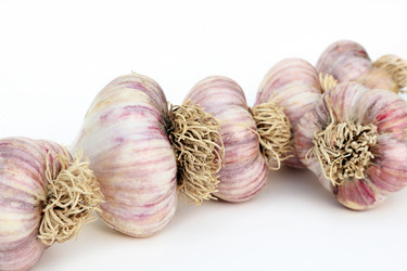 Similar image 738420