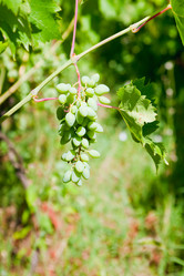 Similar image 738440