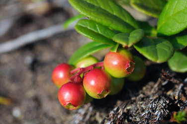 Similar image 738443