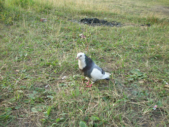 Similar image 738450