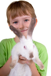 Similar image 738479