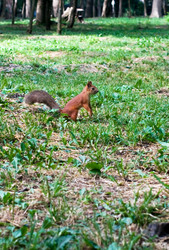 Similar image 738486