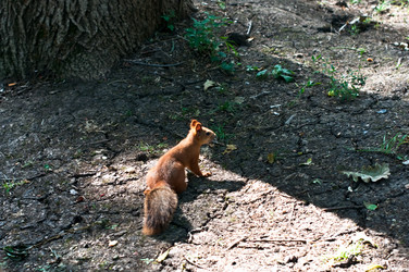 Similar image 738489