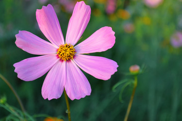 Similar image 738574