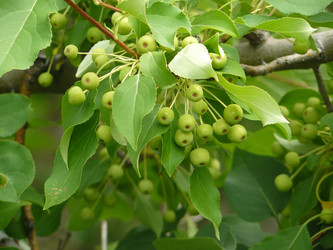 Similar image 738594