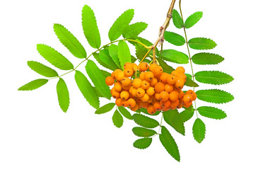 Similar image 738601