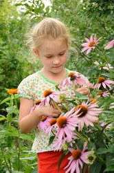 Similar image 738621