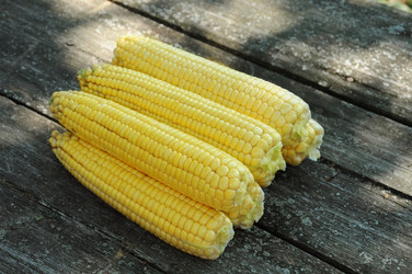 Similar image 738740