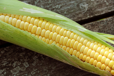 Similar image 738741