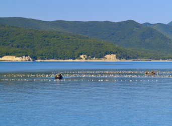 Similar image 738786