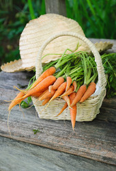 Similar image 738787